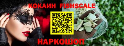 крисы Кунгур