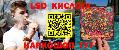 крисы Кунгур