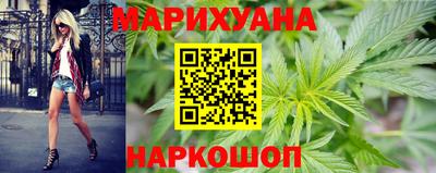 крисы Кунгур
