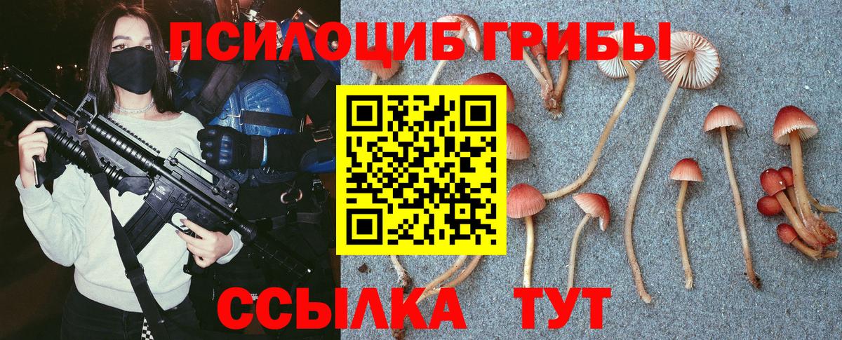 Галлюциногенные грибы Psilocybine cubensis  Галлюциногенные грибы мицелий  Выборг  Вход с VPN 