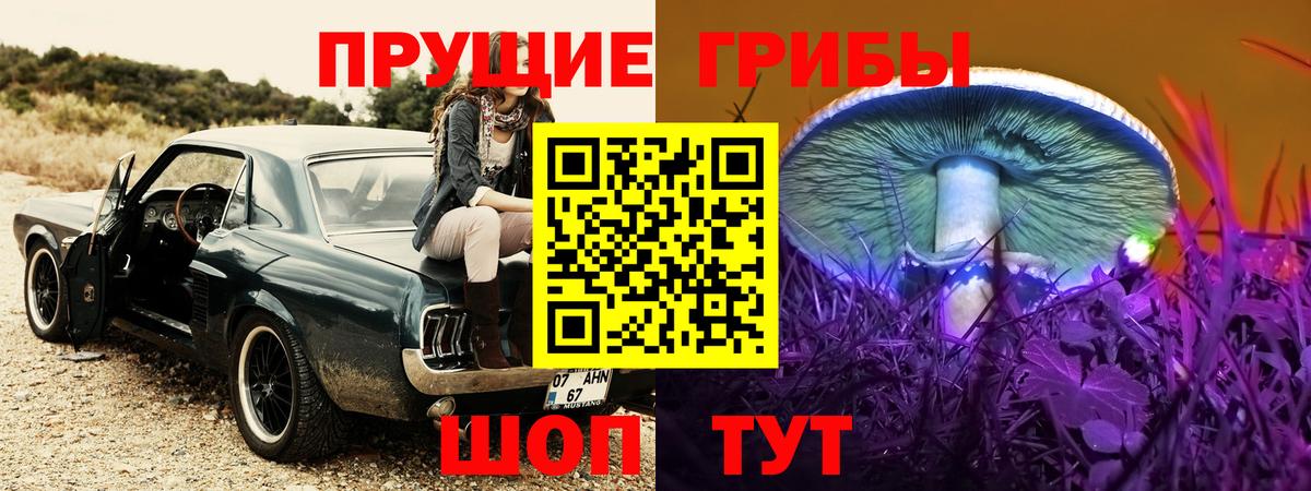 Псилоцибиновые грибы мицелий Выборг